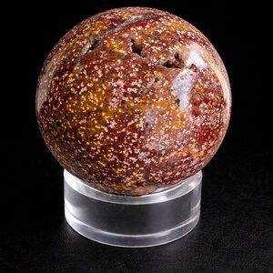 Ocean Jasper (Indonesia)